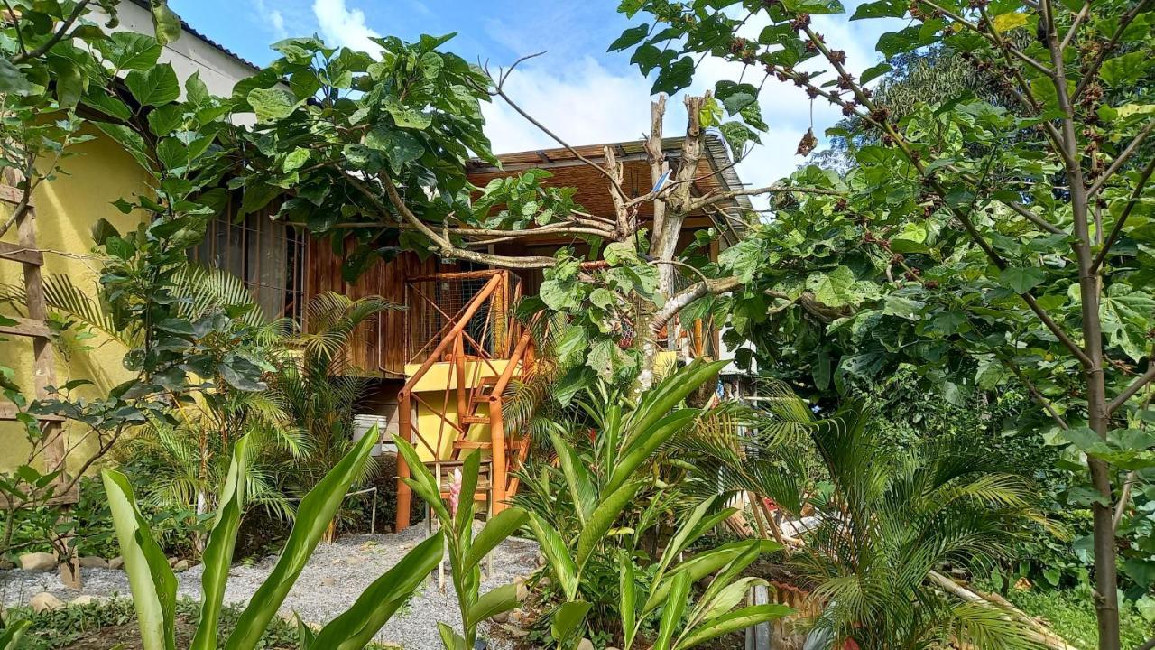 Cacao Lodge And Tours La Fortuna Εξωτερικό φωτογραφία